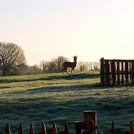 La Petite Houmee Kemping *