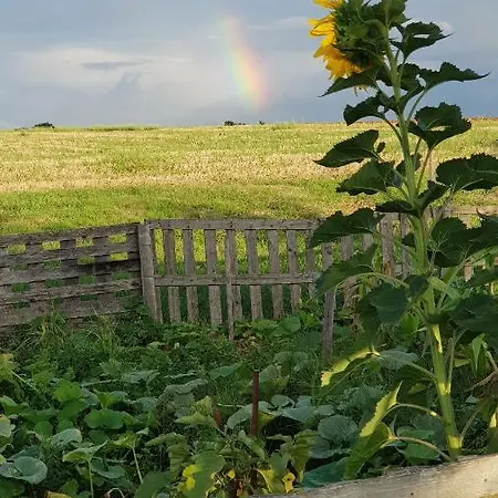 캠프장 La Petite Houmee *