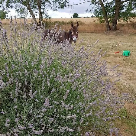 La Petite Houmee Kemping *