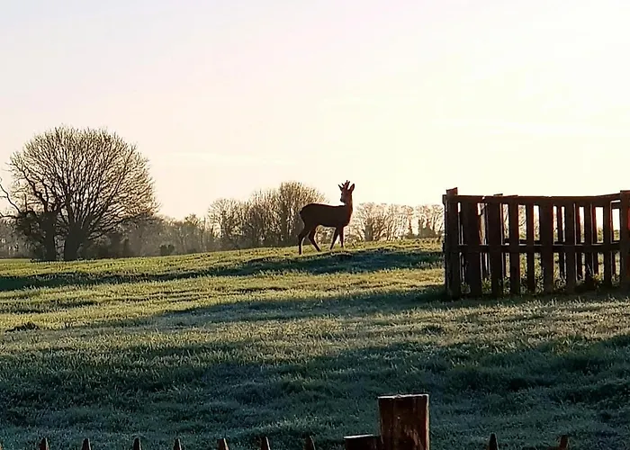 La Petite Houmee Campsite *